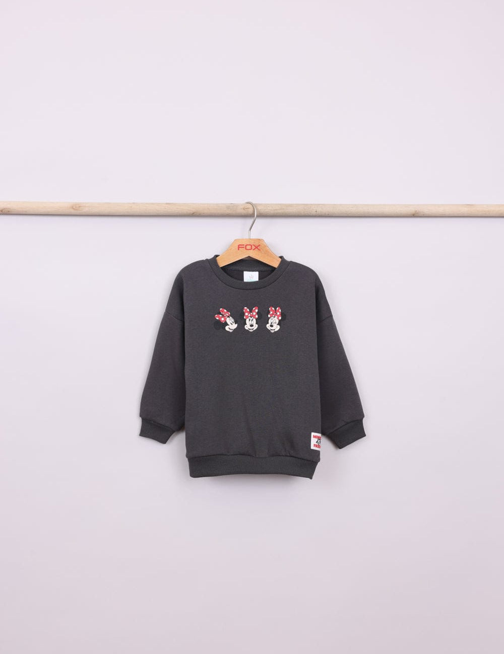 FOX FOX פוטרים פוטר ממותג דיסני PP2 פוטר ממותג דיסני PP2