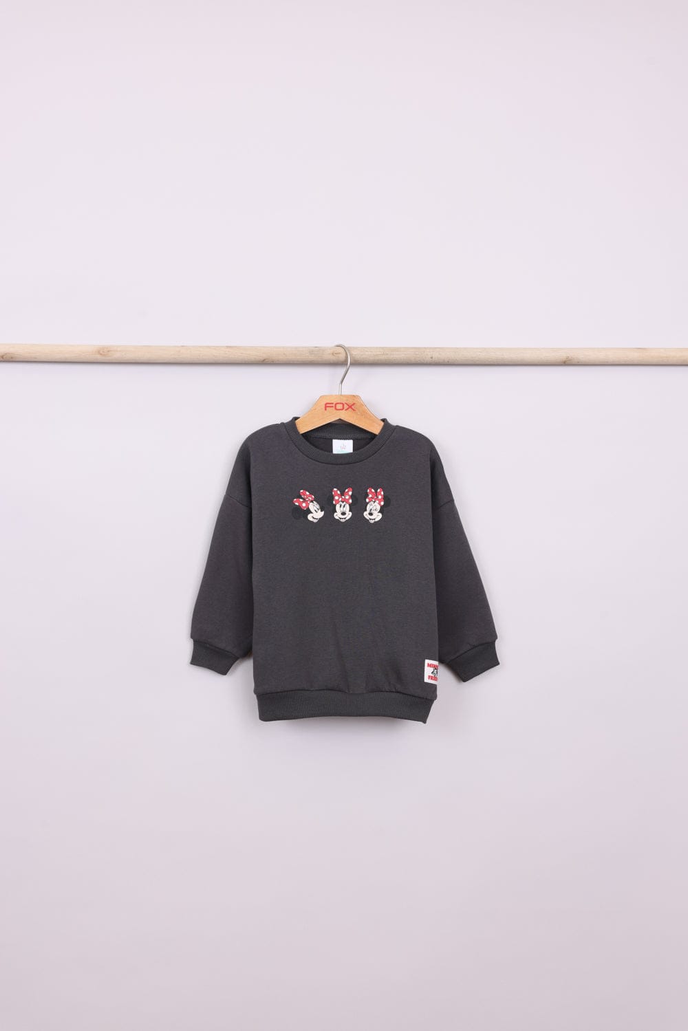 FOX FOX פוטרים פוטר ממותג דיסני PP2 פוטר ממותג דיסני PP2