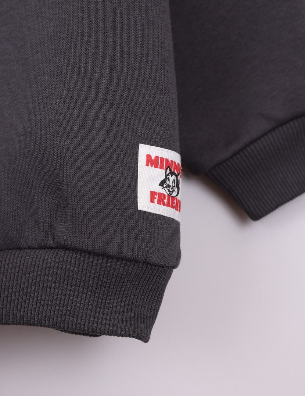 FOX FOX פוטרים פוטר ממותג דיסני PP2 פוטר ממותג דיסני PP2