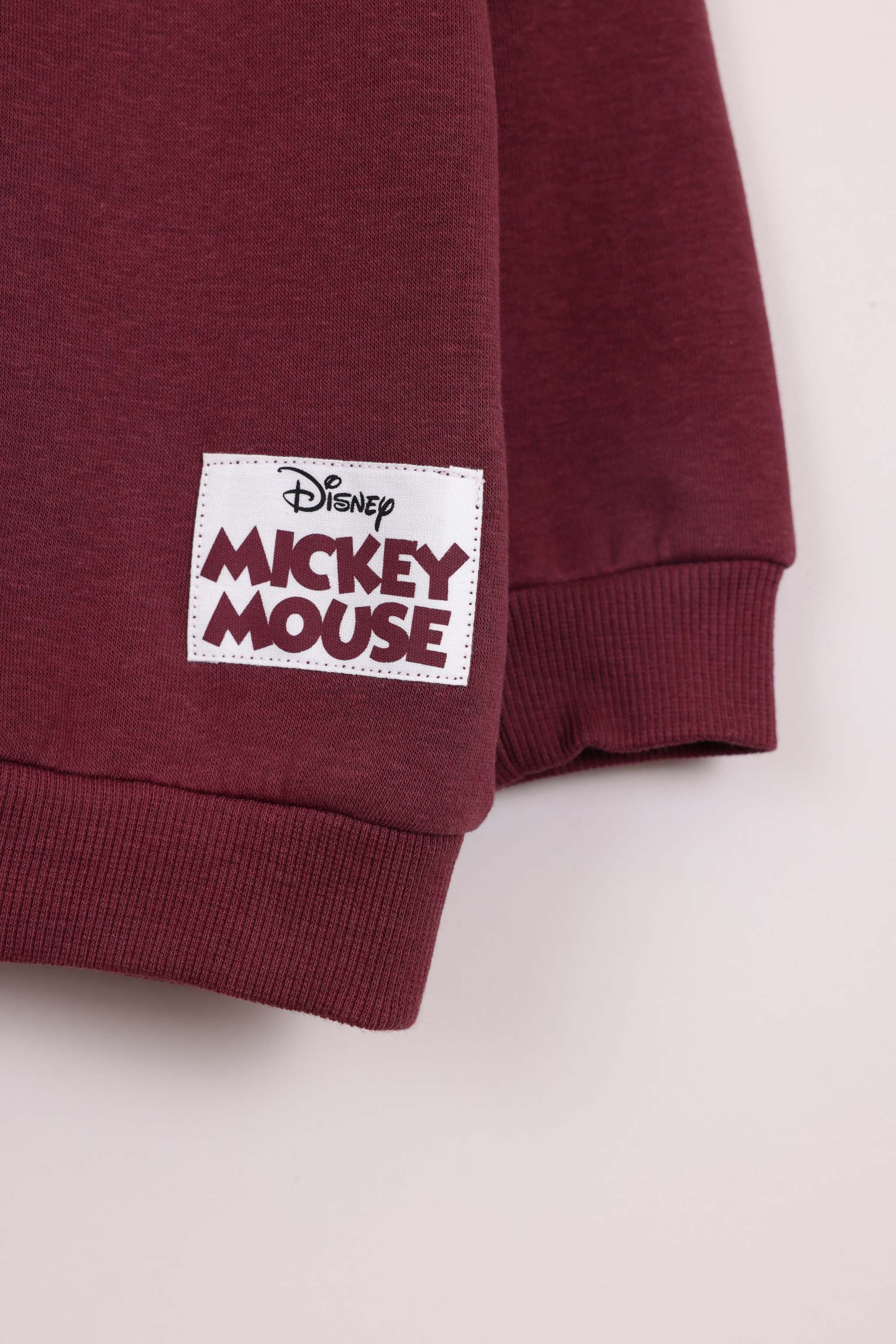 FOX תינוקות בנים פוטרים מארז 2 פוטרים דיסני מארז 2 פוטרים דיסני