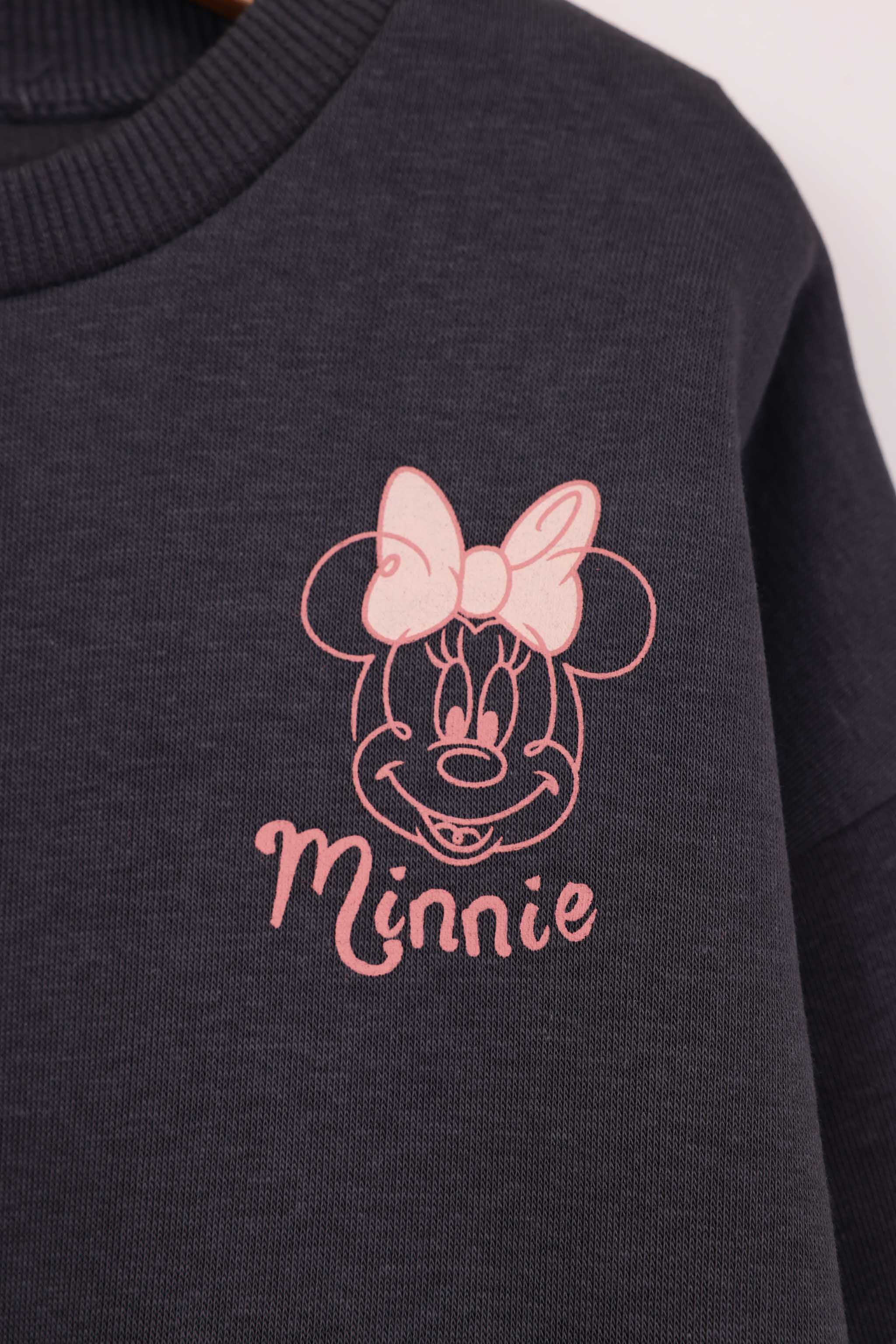 FOX FOX פוטרים פוטר ממותג דיסני PP2 פוטר ממותג דיסני PP2