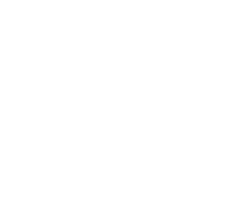 אביר יעקב - FOX - 