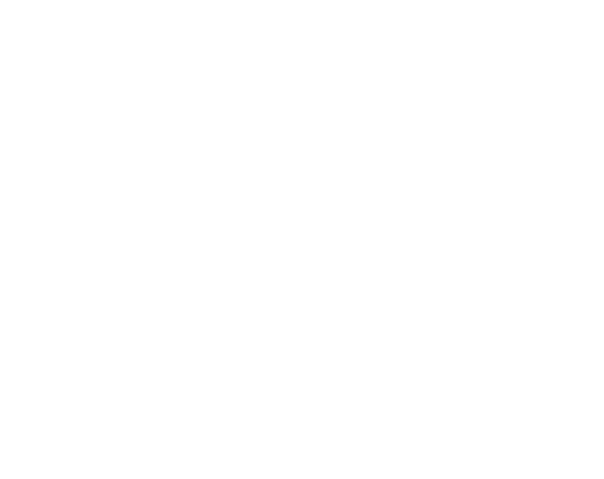 אולפנת צביה עפולה - FOX - 