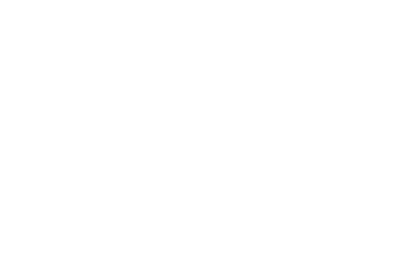 FOX FOX white אוצר החיים אוצר החיים