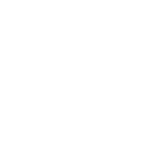 אורות - FOX - 