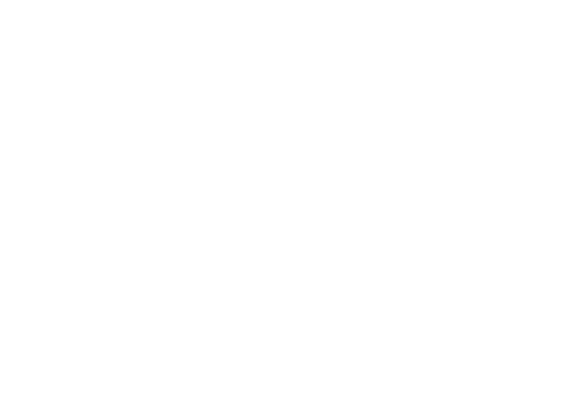 FOX FOX white אורט ע"ש אבין אורט ע"ש אבין