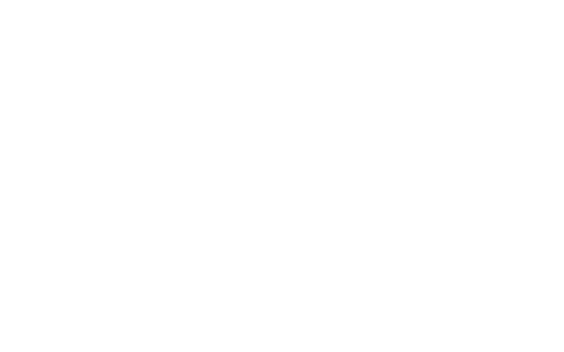 FOX FOX white אורט תעופה וחלל אורט תעופה וחלל