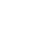 FOX FOX white איתמר איתמר