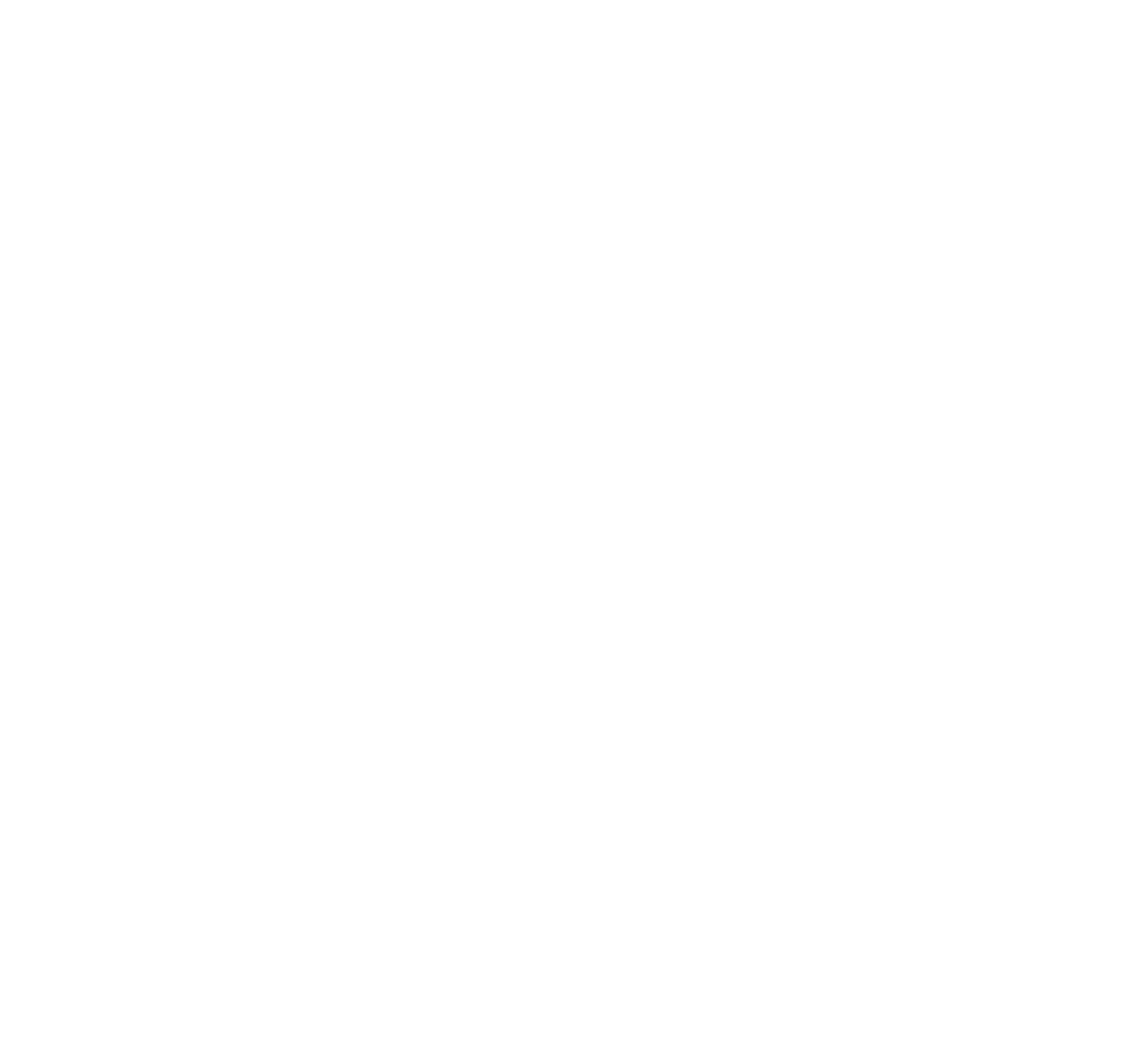 FOX FOX white אלברט איינשטיין אלברט איינשטיין