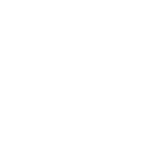 FOX FOX white אלברט אינשטיין אלברט אינשטיין