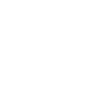 FOX FOX white אלון טביב אלון טביב