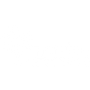 FOX FOX white אלונים אלונים