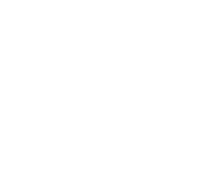 בורוכוב - FOX - 