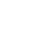 בית אור - FOX - 