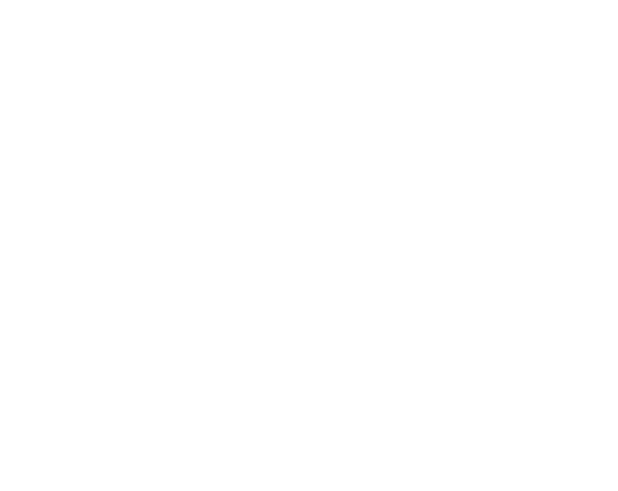 FOX FOX white בית הספר הפתוח בית הספר הפתוח