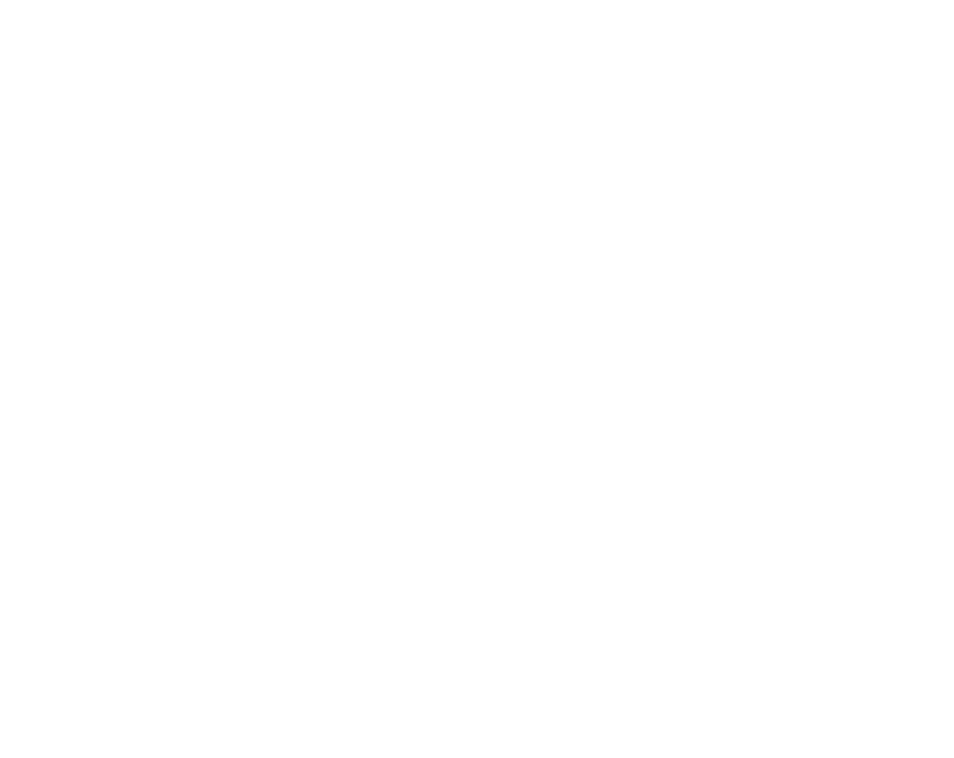 בית ספר אופק - FOX - 