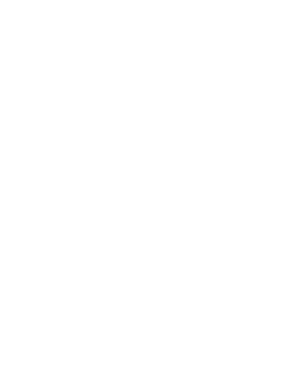 בן גוריון - FOX - 