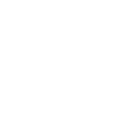 FOX FOX white ברנדיס ברנדיס