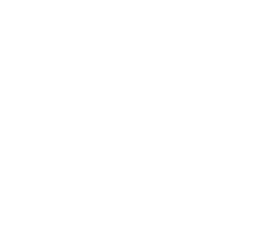 FOX FOX white גבורי ישראל גבורי ישראל