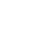 FOX FOX white גבריאלי גבריאלי