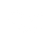 FOX FOX white גוונים גוונים