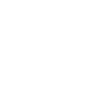 FOX FOX white גליל יד ביד גליל יד ביד