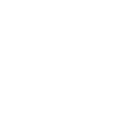 FOX FOX white דוד אלעזר דוד אלעזר