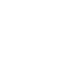 FOX FOX white דרכא דנציגר דרכא דנציגר