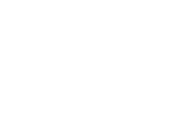 FOX FOX white הארי מד צפת הארי מד צפת