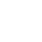 הראשונים - FOX - 