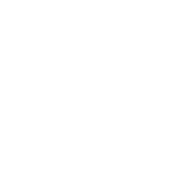 FOX FOX white הרצוג בית חינוך הרצוג בית חינוך