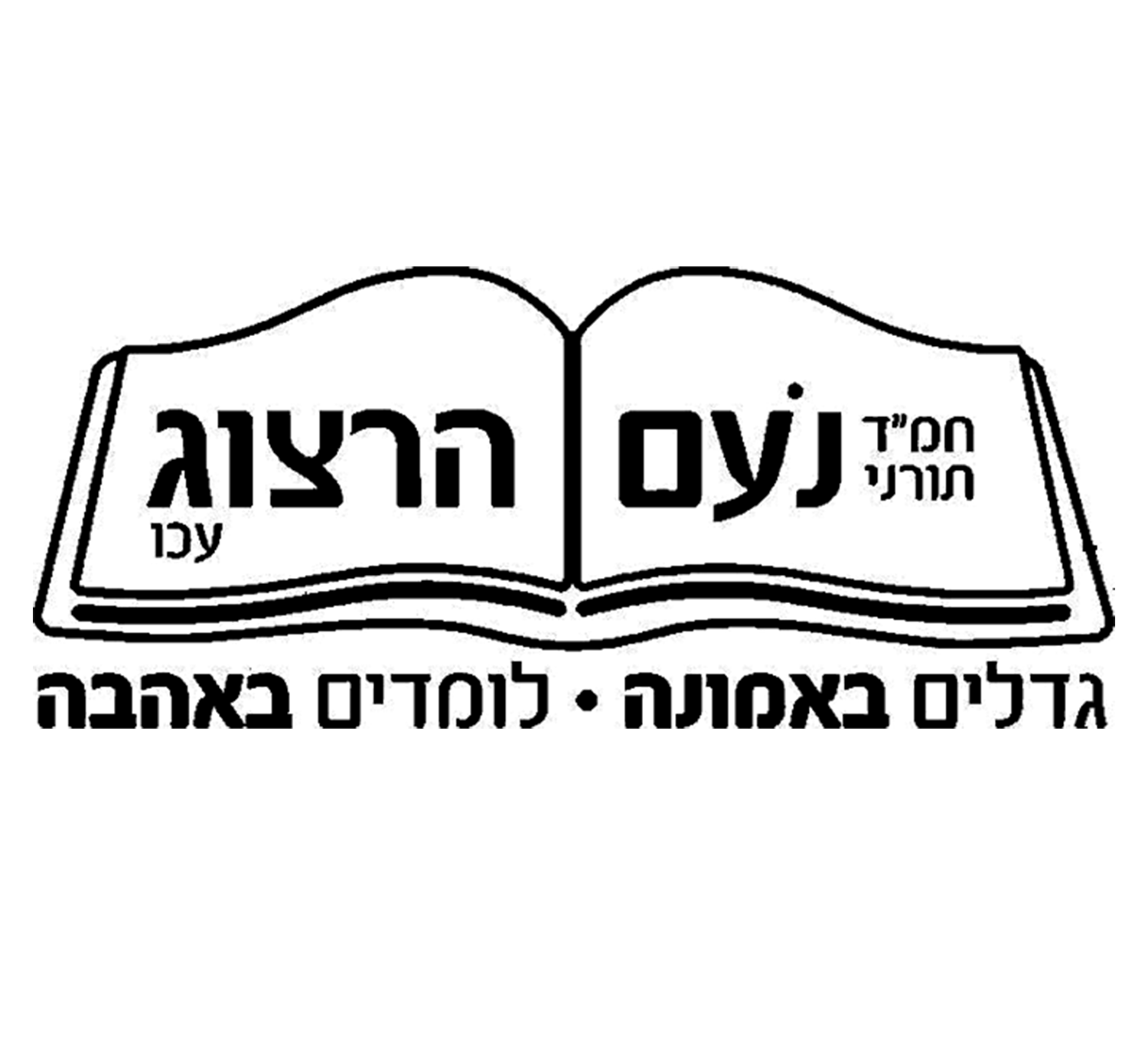 FOX FOX black הרצוג מד הרצוג מד