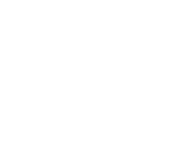 FOX FOX white הרצוג מד הרצוג מד