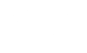 FOX FOX white השחר השחר
