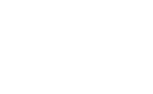 FOX FOX white השחר השחר