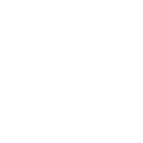 FOX FOX white התבור התבור