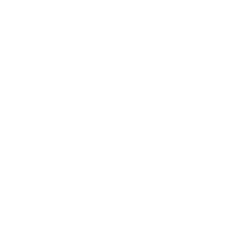 חט"ב גולדה מאיר - FOX - 