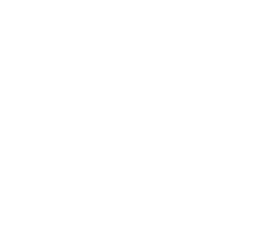 FOX FOX white יגאל אלון יגאל אלון