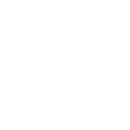 FOX FOX white יגאל אלון יגאל אלון