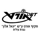 FOX FOX black יגאל אלון יגאל אלון