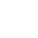 FOX FOX white יגאל אלון יגאל אלון