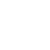FOX FOX white יגאל אלון יגאל אלון