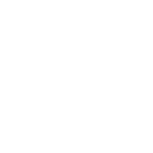 FOX FOX white יגאל אלון יגאל אלון