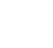 FOX FOX white יגאל אלון יגאל אלון
