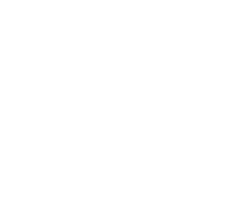 FOX FOX white יגאל אלון יגאל אלון