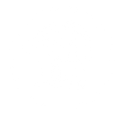 FOX FOX white יגאל אלון יגאל אלון