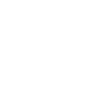 FOX FOX white יגאל אלון יגאל אלון