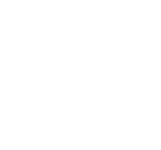 FOX FOX white יד חזון יד חזון