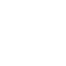 FOX FOX white יהלום יהלום