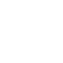 FOX FOX white יהלם יהלם